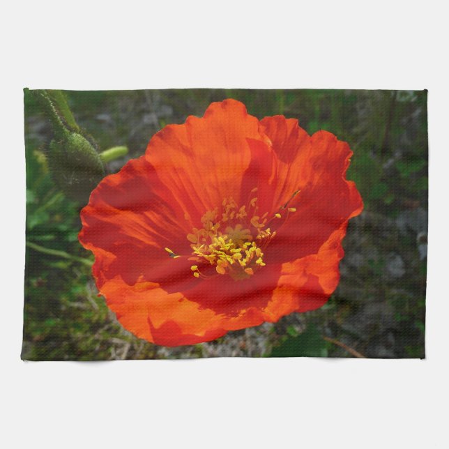 Alaskan Red Poppy Colourful Flower Kitchen Towel (Horizontal)