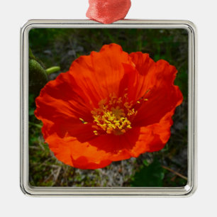 Alaskan Red Poppy Colourful Flower Metal Ornament
