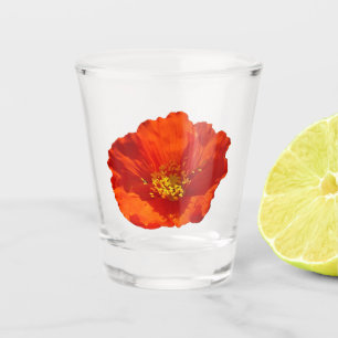 Alaskan Red Poppy Colourful Flower Shot Glass