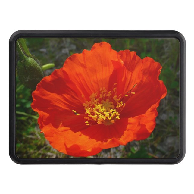 Alaskan Red Poppy Colourful Flower Trailer Hitch Cover (Front)