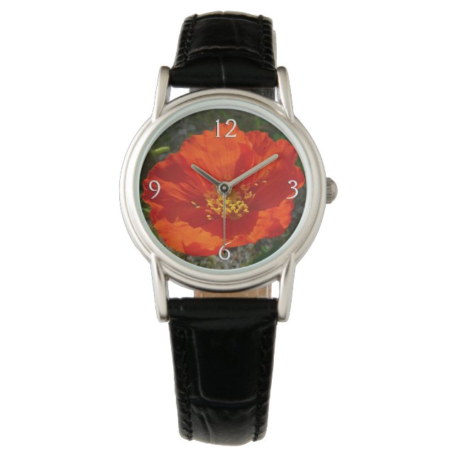 Alaskan Red Poppy Colourful Flower Watch (Front)