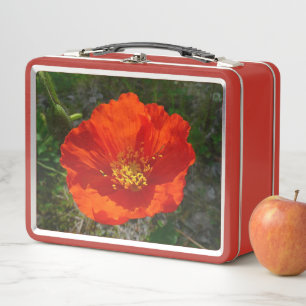 Alaskan Red Poppy Metal Lunch Box