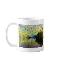 Alaskan reflection