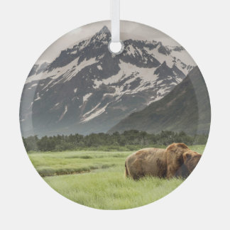 Alaskan shores, grizzly bear glass ornament