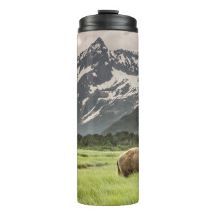 Alaskan shores, grizzly bear thermal tumbler