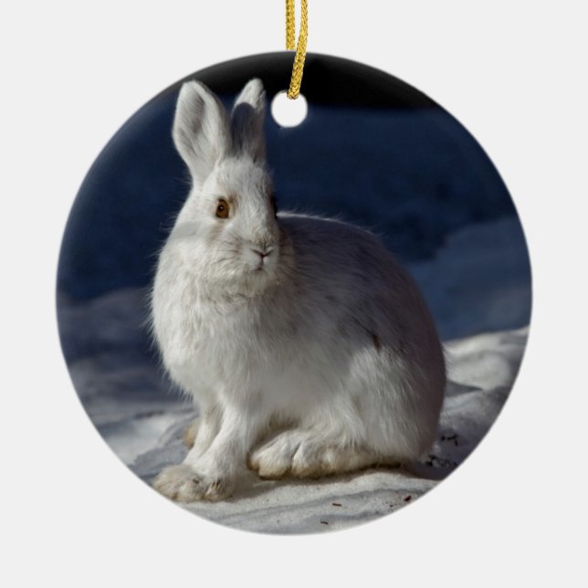 Alaskan Snowshoe Hare Ceramic Ornament (Front)