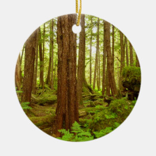 Alaskan Temperate Rainforest Ceramic Ornament