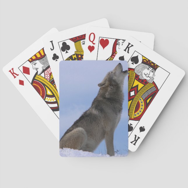 Alaskan Timber Wolf Playing Cards (Back)
