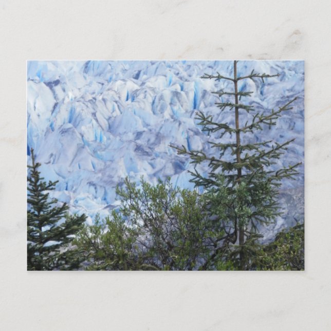 Alaska's Beauty Postcard (Front)