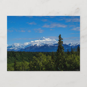 Alaska's Mt. McKinley Postcard
