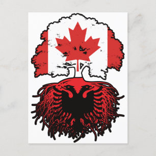 Albania Albanian Canadian Canada Tree Roots Flag Postcard