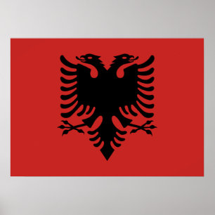 Albanian Coat of arms Poster