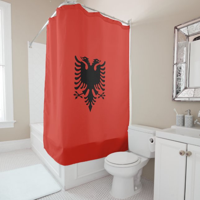 Albanian flag (In Situ)