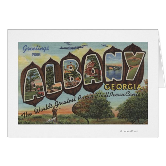 Albany, Georgia - Large Letter Scenes (Front Horizontal)