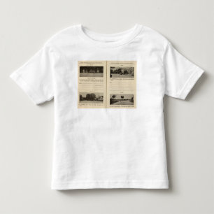 Albany, NY Toddler T-shirt