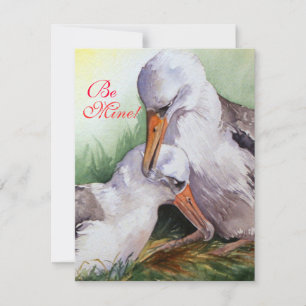 Albatros amoureux Carte Saint Valentin