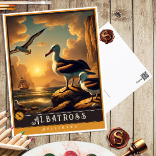 Albatros   Carte postale Famille Vintage Animal