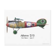 Albatros D.V. ww1 German Fighter Plane Bäumer