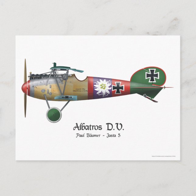 Albatros D.V. ww1 German Fighter Plane Bäumer Postcard (Front)
