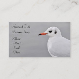 Albatross Business/Profile Card
