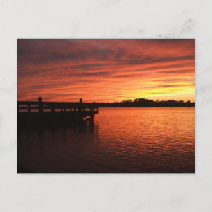 Albemarle Sound Postcard