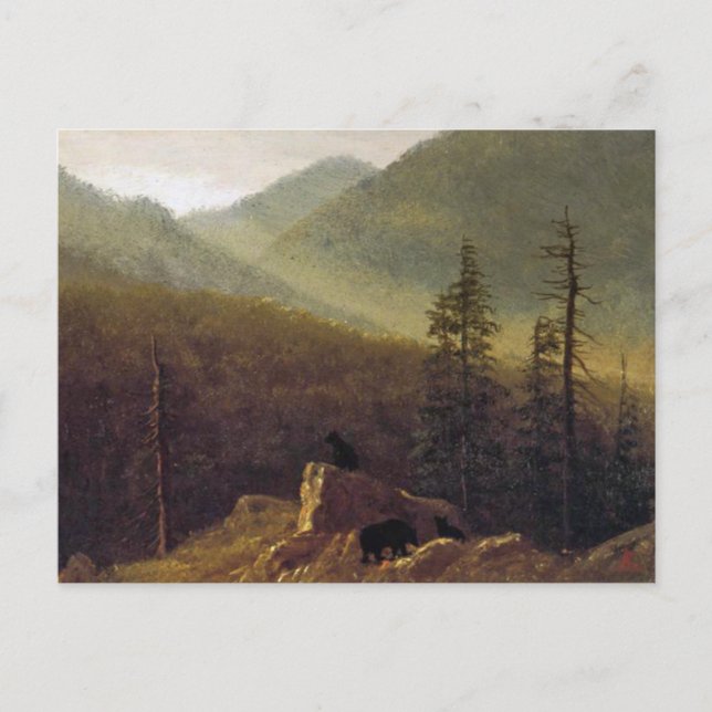 Albert Bierstadt, Bears in the Wilderness Postcard (Front)
