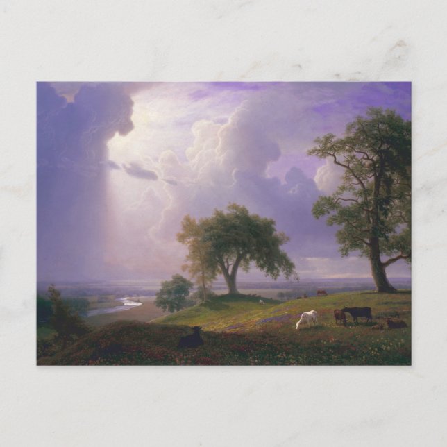 Albert Bierstadt California Spring Cattle Postcard (Front)