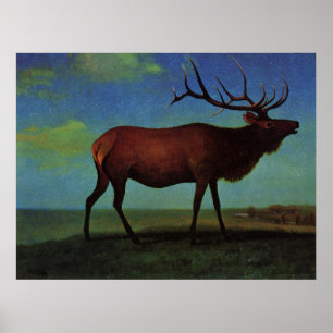 Albert Bierstadt, Elk Poster