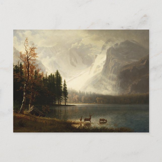 Albert Bierstadt Estes Park Colorado Whyte's Lake Postcard (Front)