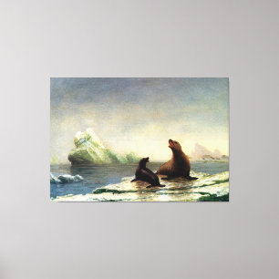 Albert Bierstadt painting, Seals Canvas Print