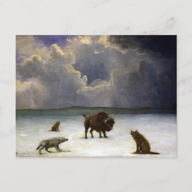 Albert Bierstadt Trapped Postcard (Front)