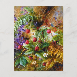 Albert Dürer Lucas: Wild Strawberries & Butterfly Postcard