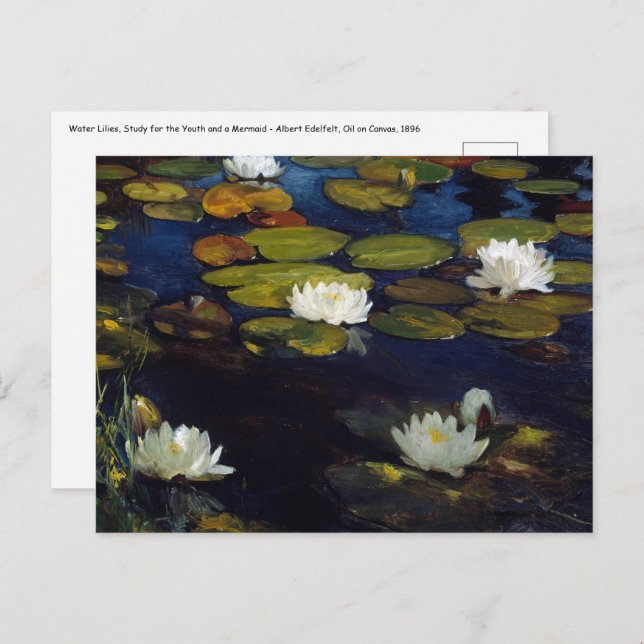 Albert Edelfelt - Water Lilies, Study Postcard (Front/Back)