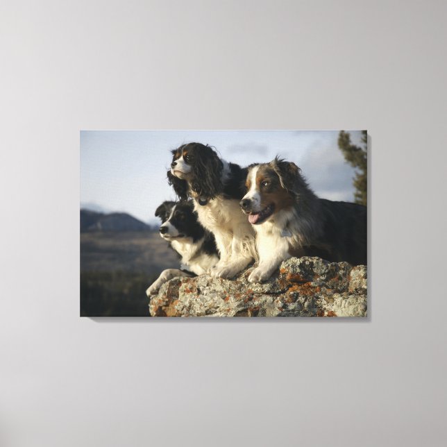 Alberta, Canada 2 Canvas Print (Front)