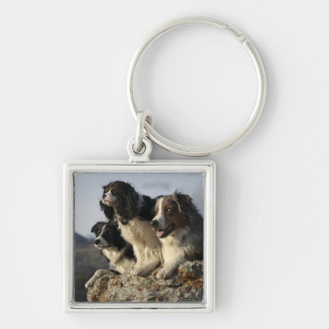 Alberta, Canada 2 Keychain (Front)