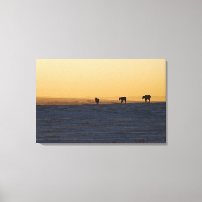 Alberta, Canada 3 Canvas Print (Front)