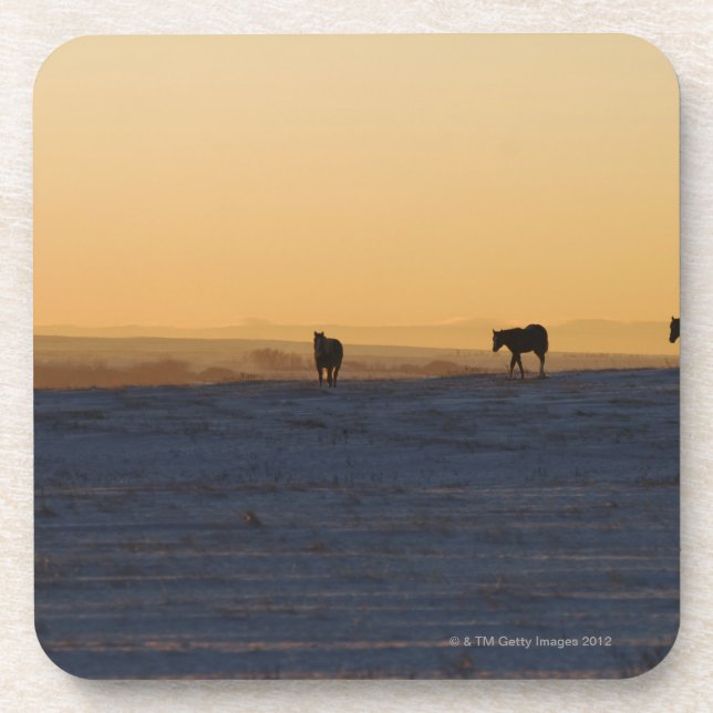 Alberta, Canada 3 Coaster (Front)