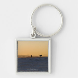 Alberta, Canada 3 Keychain