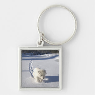 Alberta, Canada Keychain