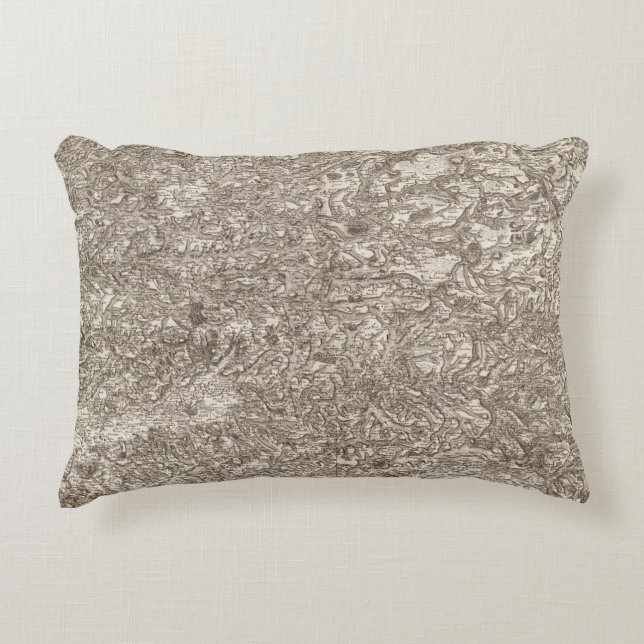 Albi Accent Pillow (Front)