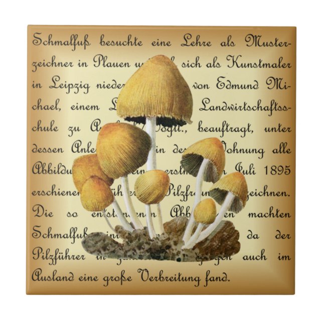 Albin Schmalfuß ~ Glimmertintling-1~ Mushrooms ~ Tile (Front)