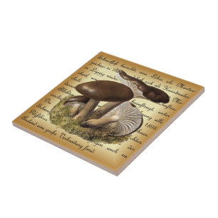 Albin Schmalfuß ~ Märzschneckling-1 ~ Mushrooms ~ Tile