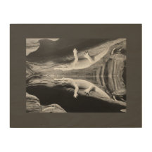 Albino Alligator Wood Wall Art