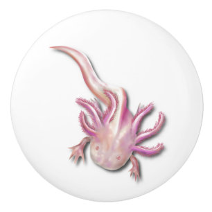 Albino Axolotl "Walking Fish" Art Ceramic Knob