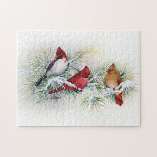Albino Cardinal Visits Jigsaw Puzzle