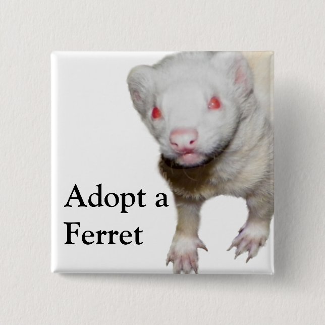Albino Ferret Picture 2 Inch Square Button (Front)