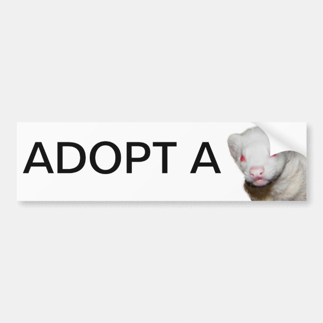 Albino Ferret Picture Bumper Sticker (Front)