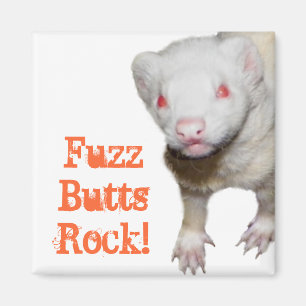 Albino Ferret Picture Magnet