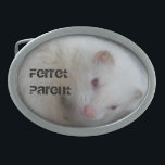 Albino Ferret Picture Oval Belt Buckle<br><div class="desc">Gifts for albino ferret owners,  a picture of a ferret who actually stayed still long enough to photograph</div>