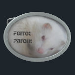 Albino Ferret Picture Oval Belt Buckle<br><div class="desc">Gifts for albino ferret owners,  a picture of a ferret who actually stayed still long enough to photograph</div>